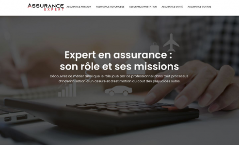 https://www.assurance-expert.com